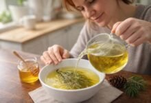 Pine Needles Benefits: Simple Natural Uses at Home